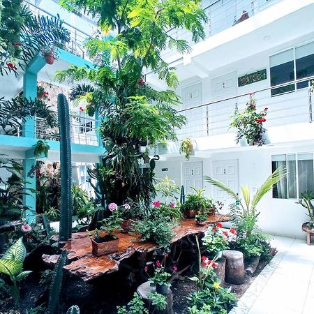Hotel Boutique Los Remansos ปัลมีรา ภายนอก รูปภาพ