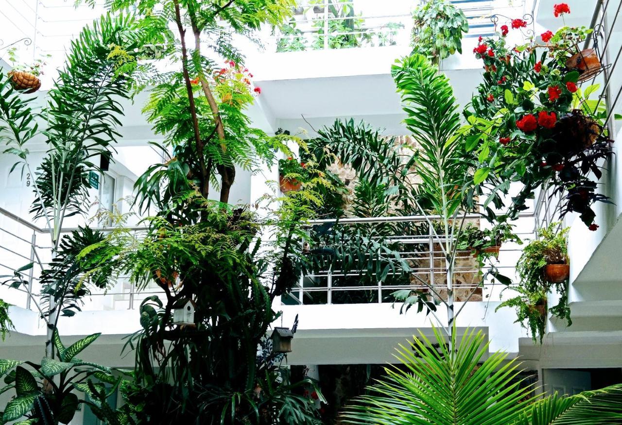 Hotel Boutique Los Remansos ปัลมีรา ภายนอก รูปภาพ