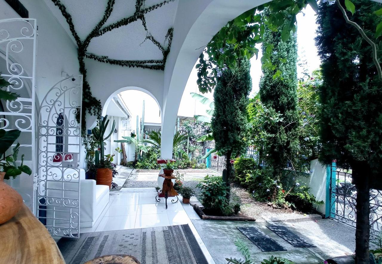 Hotel Boutique Los Remansos ปัลมีรา ภายนอก รูปภาพ