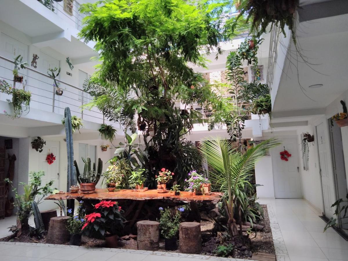 Hotel Boutique Los Remansos ปัลมีรา ภายนอก รูปภาพ
